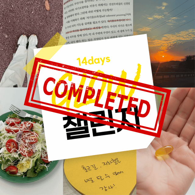 14일 글로우 챌린지 완료🏆