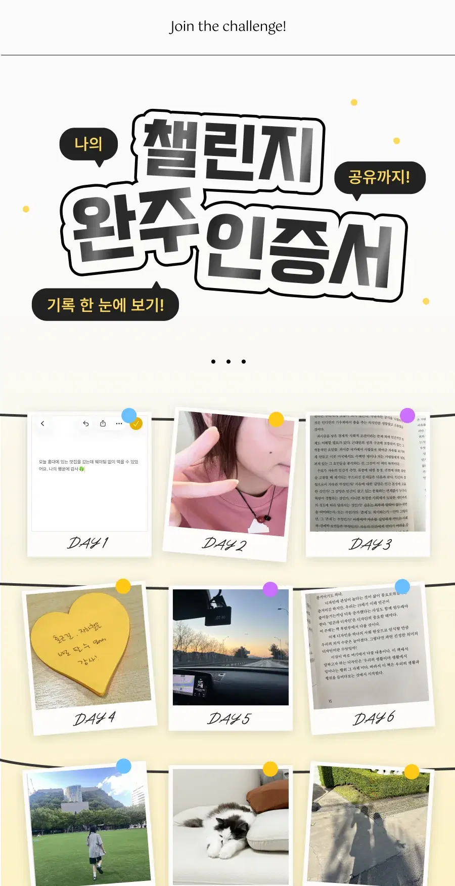 챌린지 완주 인증서 안내